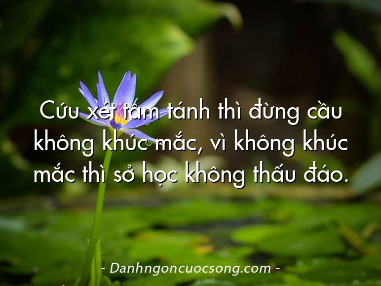 Cứu xét tâm tánh thì đừng cầu không khúc mắc, vì không khúc mắc thì sở học không thấu đáo.