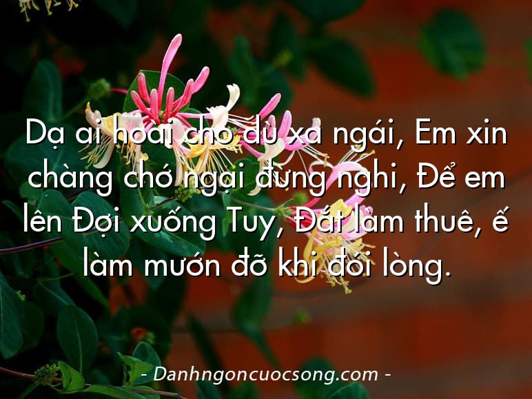 Dạ ai hoài cho dù xa ngái, Em xin chàng chớ ngại đừng nghi, Để em lên Đợi xuống Tuy, Đắt làm thuê, ế làm mướn đỡ khi đói lòng.