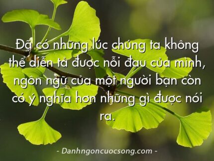 Đã có những lúc chúng ta không thể diễn tả được nỗi đau của mình, ngôn ngữ của một người bạn còn có ý nghĩa hơn những gì được nói ra.