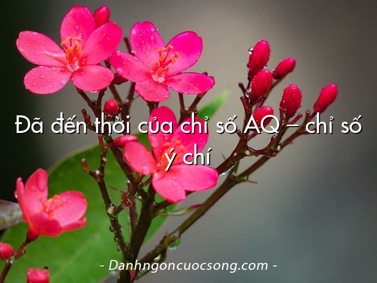Đã đến thời của chỉ số AQ – chỉ số ý chí