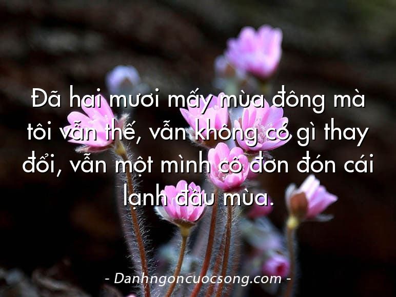 Đã hai mươi mấy mùa đông mà tôi vẫn thế, vẫn không có gì thay đổi, vẫn một mình cô đơn đón cái lạnh đầu mùa.