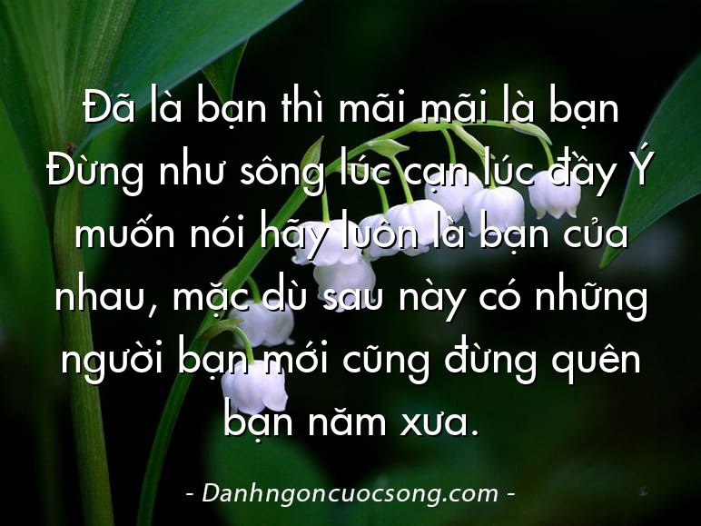 Đã là bạn thì mãi mãi là bạn Đừng như sông lúc cạn lúc đầy Ý muốn nói hãy luôn là bạn của nhau, mặc dù sau này có những người bạn mới cũng đừng quên bạn năm xưa.