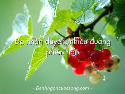 Đa nhân duyên, nhiều đường phiền não