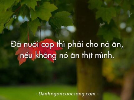 Đã nuôi cọp thì phải cho nó ăn, nếu không nó ăn thịt mình.