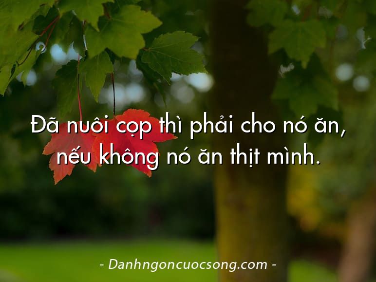 Đã nuôi cọp thì phải cho nó ăn, nếu không nó ăn thịt mình.