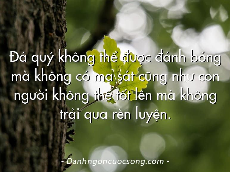 Đá quý không thể được đánh bóng mà không có ma sát cũng như con người không thể tốt lên mà không trải qua rèn luyện.