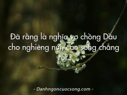 Đã rằng là nghĩa vợ chồng Dầu cho nghiêng núi, cạn sông chẳng rời.