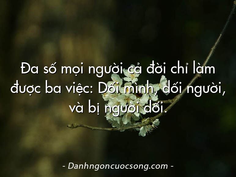 Đa số mọi người cả đời chỉ làm được ba việc: Dối mình, dối người, và bị người dối.