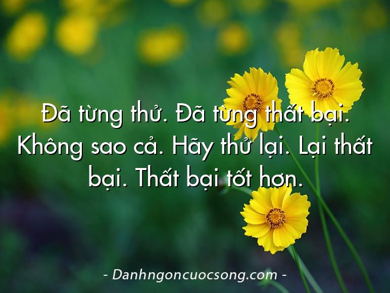 Đã từng thử. Đã từng thất bại. Không sao cả. Hãy thử lại. Lại thất bại. Thất bại tốt hơn.