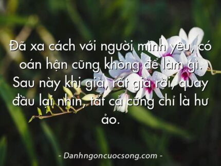 Đã xa cách với người mình yêu, có oán hận cũng không để làm gì. Sau này khi già, rất già rồi, quay đầu lại nhìn, tất cả cũng chỉ là hư ảo.