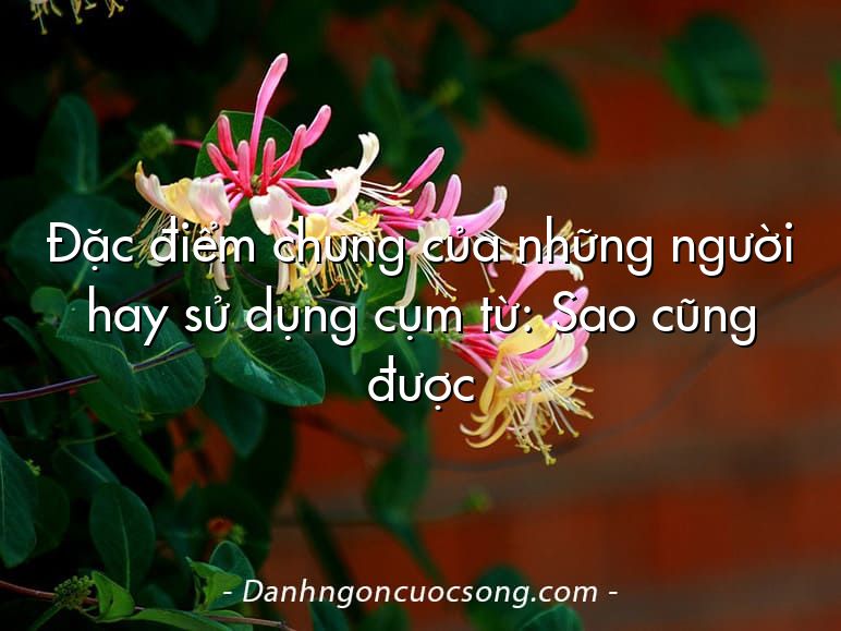 Đặc điểm chung của những người hay sử dụng cụm từ: Sao cũng được