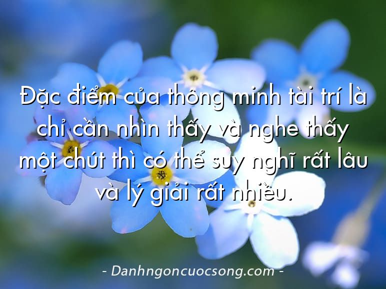 Đặc điểm của thông minh tài trí là chỉ cần nhìn thấy và nghe thấy một chút thì có thể suy nghĩ rất lâu và lý giải rất nhiều.