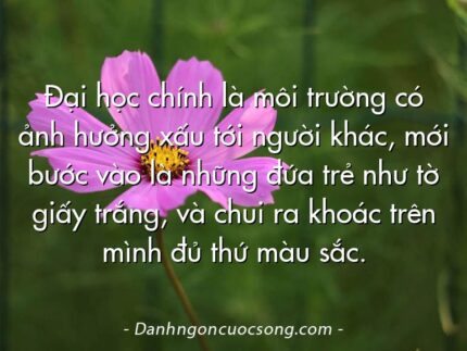 Đại học chính là môi trường có ảnh hưởng xấu tới người khác, mới bước vào là những đứa trẻ như tờ giấy trắng, và chui ra khoác trên mình đủ thứ màu sắc.