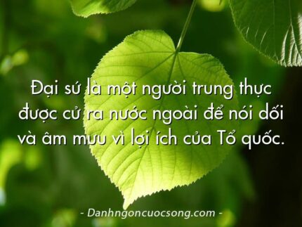 Đại sứ là một người trung thực được cử ra nước ngoài để nói dối và âm mưu vì lợi ích của Tổ quốc.