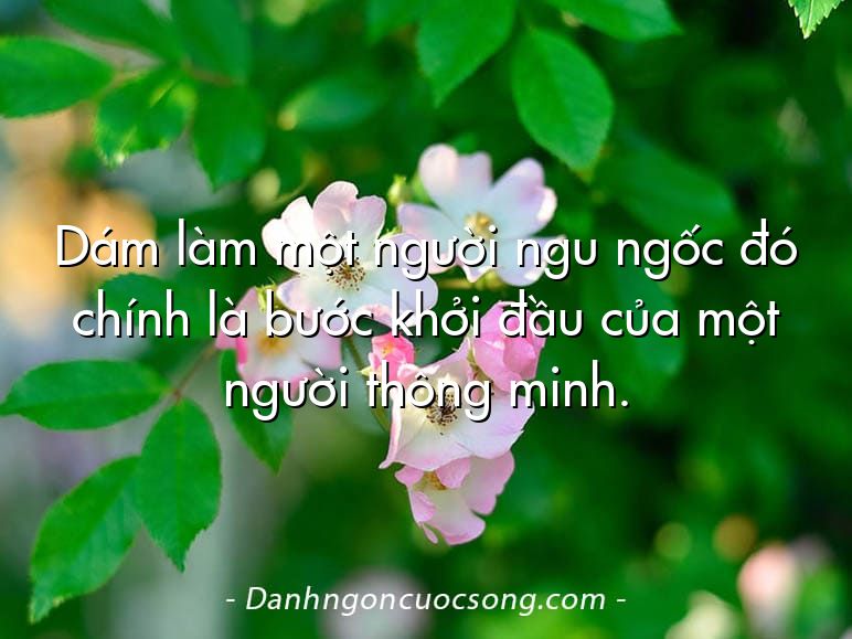 Dám làm một người ngu ngốc đó chính là bước khởi đầu của một người thông minh.