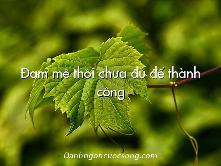 Đam mê thôi chưa đủ để thành công