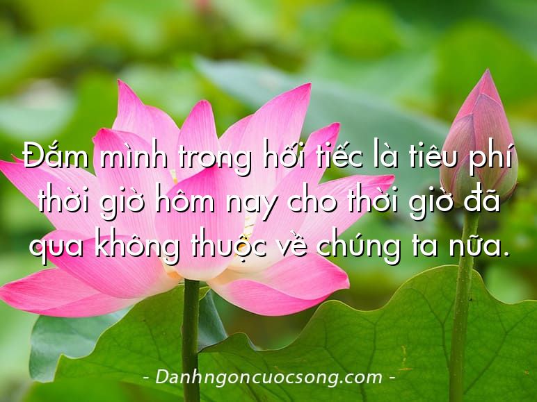 Đắm mình trong hối tiếc là tiêu phí thời giờ hôm nay cho thời giờ đã qua không thuộc về chúng ta nữa.