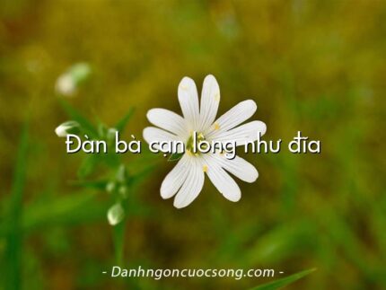 Đàn bà cạn lòng như đĩa