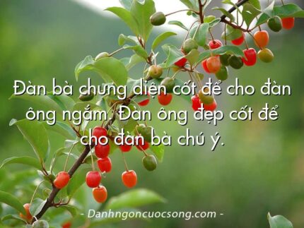 Đàn bà chưng diện cốt để cho đàn ông ngắm. Đàn ông đẹp cốt để cho đàn bà chú ý.