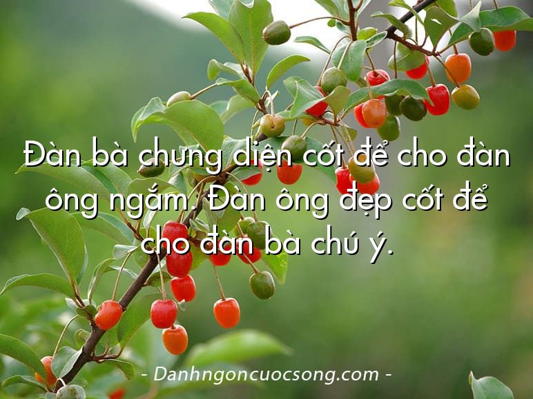 Đàn bà chưng diện cốt để cho đàn ông ngắm. Đàn ông đẹp cốt để cho đàn bà chú ý.