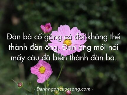 Đàn bà cố gắng cả đời không thể thành đàn ông. Đàn ông mới nói mấy câu đã biến thành đàn bà.