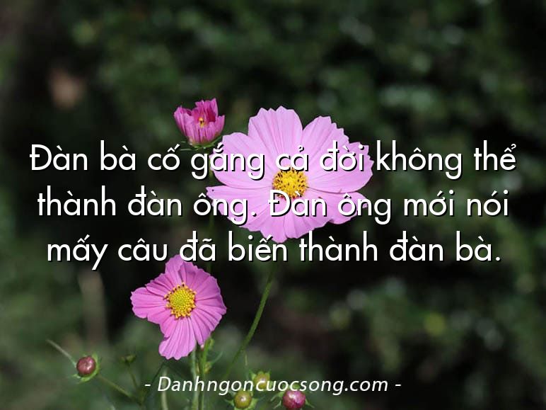 Đàn bà cố gắng cả đời không thể thành đàn ông. Đàn ông mới nói mấy câu đã biến thành đàn bà.