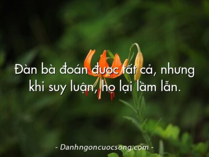 Đàn bà đoán được tất cả, nhưng khi suy luận, họ lại lầm lẫn.