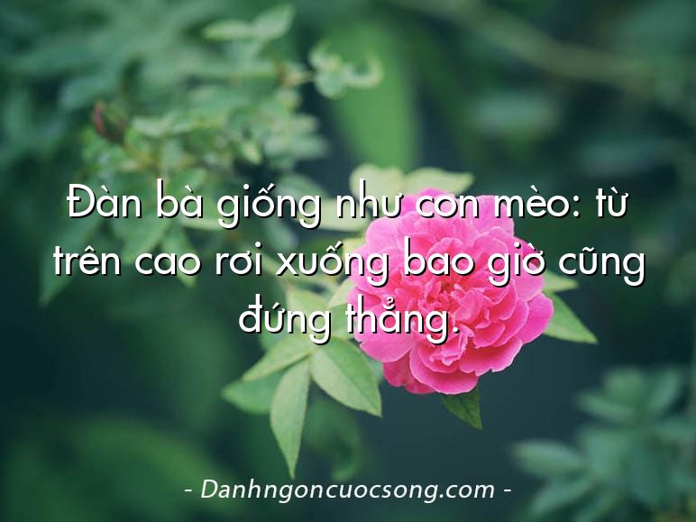 Đàn bà giống như con mèo: từ trên cao rơi xuống bao giờ cũng đứng thẳng.