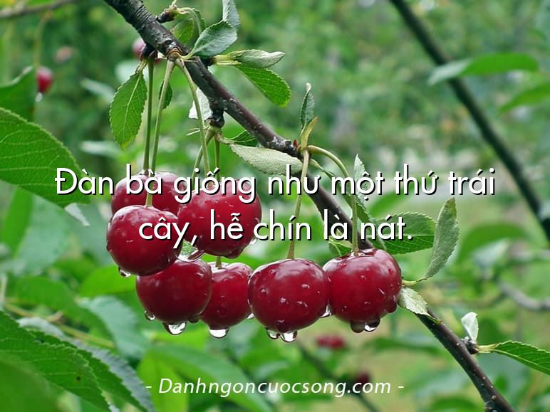 Đàn bà giống như một thứ trái cây, hễ chín là nát.