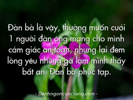 Đàn bà là vậy, thường muốn cưới 1 người đàn ông mang cho mình cảm giác an toàn, nhưng lại đem lòng yêu những gã làm mình thấy bất an. Đàn bà phức tạp.