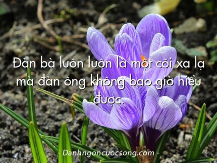 Đàn bà luôn luôn là một cõi xa lạ mà đàn ông không bao giờ hiểu được.