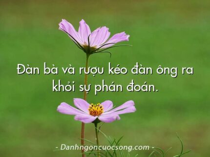 Đàn bà và rượu kéo đàn ông ra khỏi sự phán đoán.