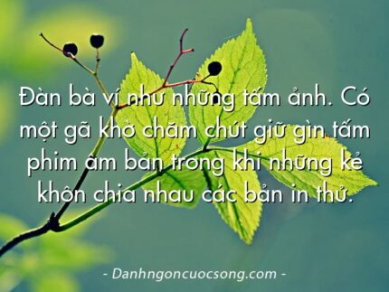 Đàn bà ví như những tấm ảnh. Có một gã khờ chăm chút giữ gìn tấm phim âm bản trong khi những kẻ khôn chia nhau các bản in thử.