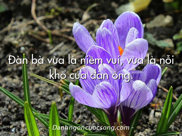 Đàn bà vừa là niềm vui, vừa là nỗi khổ của đàn ông.