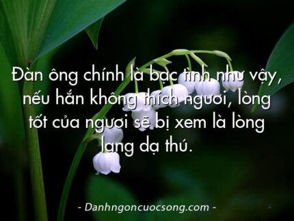 Đàn ông chính là bạc tình như vậy, nếu hắn không thích ngươi, lòng tốt của ngươi sẽ bị xem là lòng lang dạ thú.