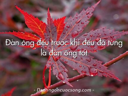 Đàn ông đểu trước khi đểu đã từng là đàn ông tốt