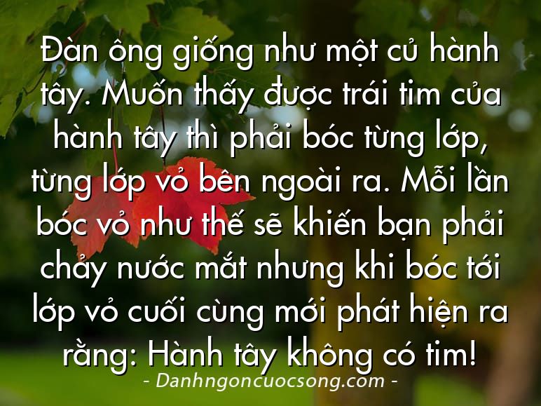Đàn ông giống như một củ hành tây. Muốn thấy được trái tim của hành tây thì phải bóc từng lớp, từng lớp vỏ bên ngoài ra. Mỗi lần bóc vỏ như thế sẽ khiến bạn phải chảy nước mắt nhưng khi bóc tới lớp vỏ cuối cùng mới phát hiện ra rằng: Hành tây không có tim!