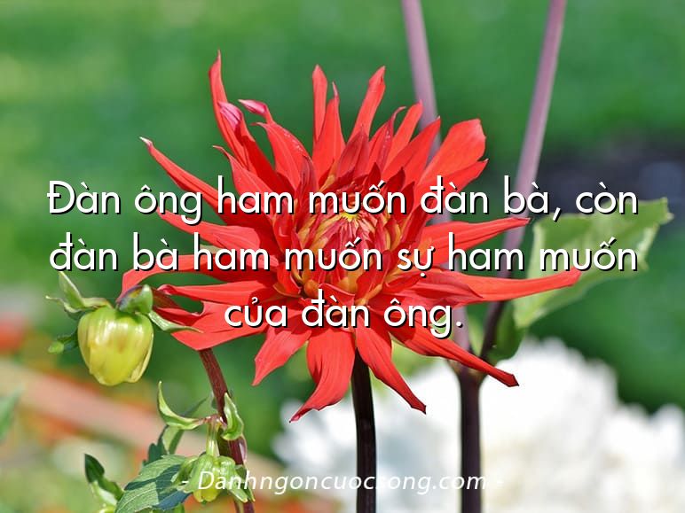 Đàn ông ham muốn đàn bà, còn đàn bà ham muốn sự ham muốn của đàn ông.