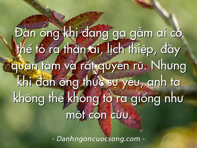 Đàn ông khi đang gạ gẫm ai có thể tỏ ra thân ái, lịch thiệp, đầy quan tâm và rất quyến rũ. Nhưng khi đàn ông thực sự yêu, anh ta không thể không tỏ ra giống như một con cừu.