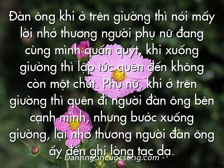 Đàn ông khi ở trên giường thì nói mấy lời nhớ thương người phụ nữ đang cùng mình quấn quýt, khi xuống giường thì lập tức quên đến không còn một chút. Phụ nữ, khi ở trên giường thì quên đi người đàn ông bên cạnh mình, nhưng bước xuống giường, lại nhớ thương người đàn ông ấy đến ghi lòng tạc dạ.