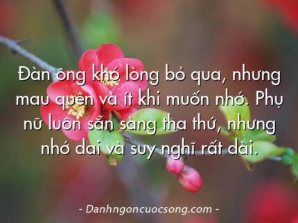 Đàn ông khó lòng bỏ qua, nhưng mau quên và ít khi muốn nhớ. Phụ nữ luôn sẵn sàng tha thứ, nhưng nhớ dai và suy nghĩ rất dài.
