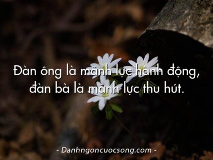 Đàn ông là mãnh lực hành động, đàn bà là mãnh lực thu hút.