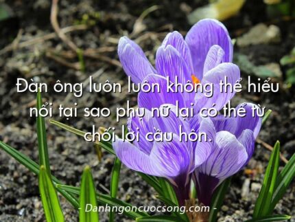 Đàn ông luôn luôn không thể hiểu nổi tại sao phụ nữ lại có thể từ chối lời cầu hôn.