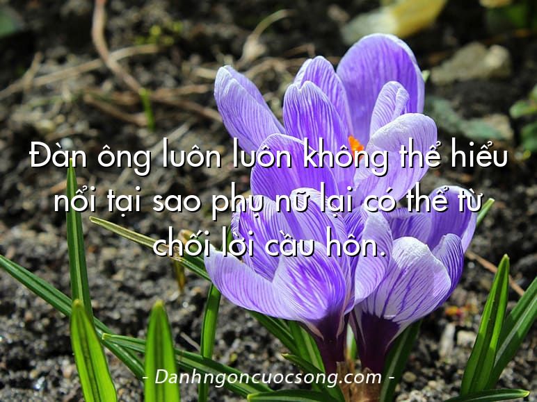 Đàn ông luôn luôn không thể hiểu nổi tại sao phụ nữ lại có thể từ chối lời cầu hôn.