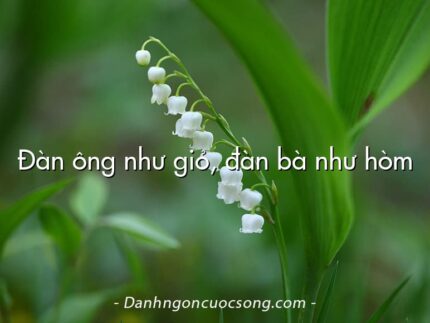 Đàn ông như giỏ, đàn bà như hòm