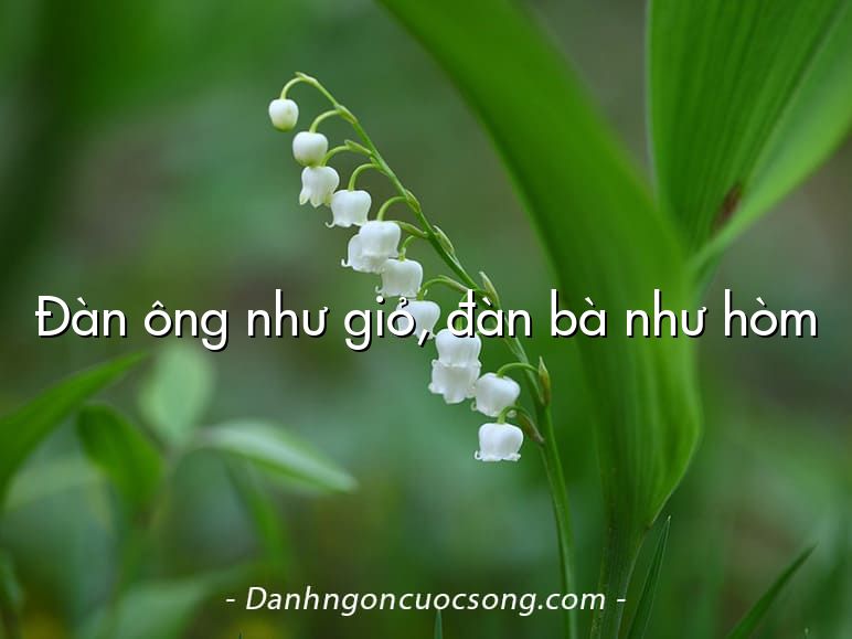Đàn ông như giỏ, đàn bà như hòm