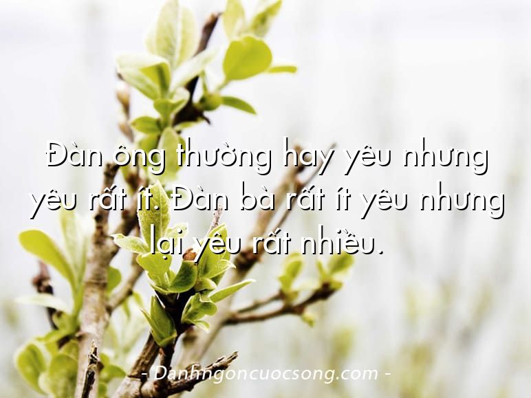Đàn ông thường hay yêu nhưng yêu rất ít. Đàn bà rất ít yêu nhưng lại yêu rất nhiều.