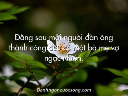 Đằng sau mỗi người đàn ông thành công đều có một bà mẹ vợ ngạc nhiên.