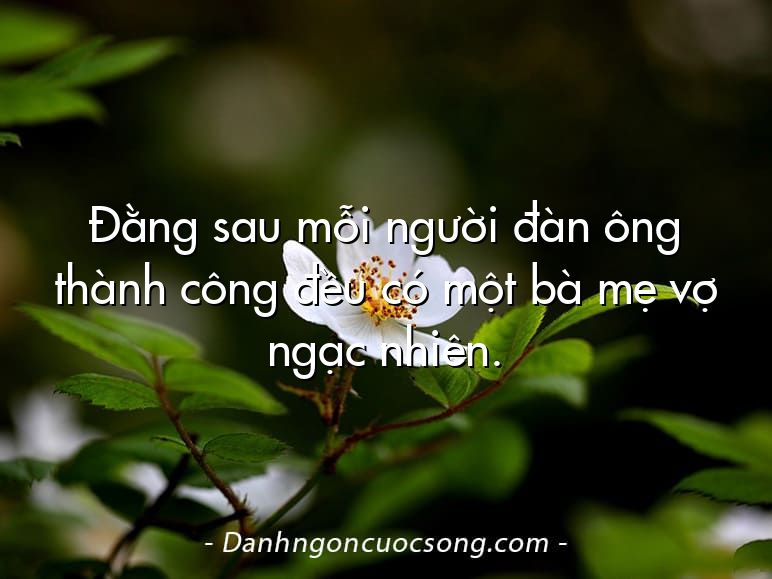 Đằng sau mỗi người đàn ông thành công đều có một bà mẹ vợ ngạc nhiên.
