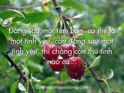Đằng sau một tình bạn, có thể là một tình yêu, còn đằng sau một tình yêu, thì chẳng còn thứ tình nào cả…